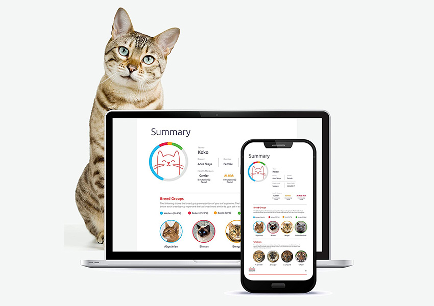 Basepaws Cat DNA Test