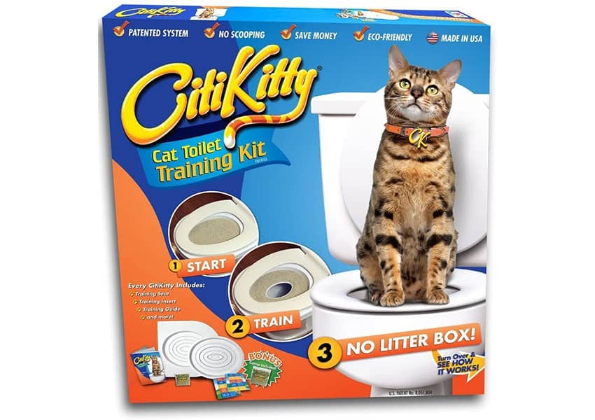 CitiKitty