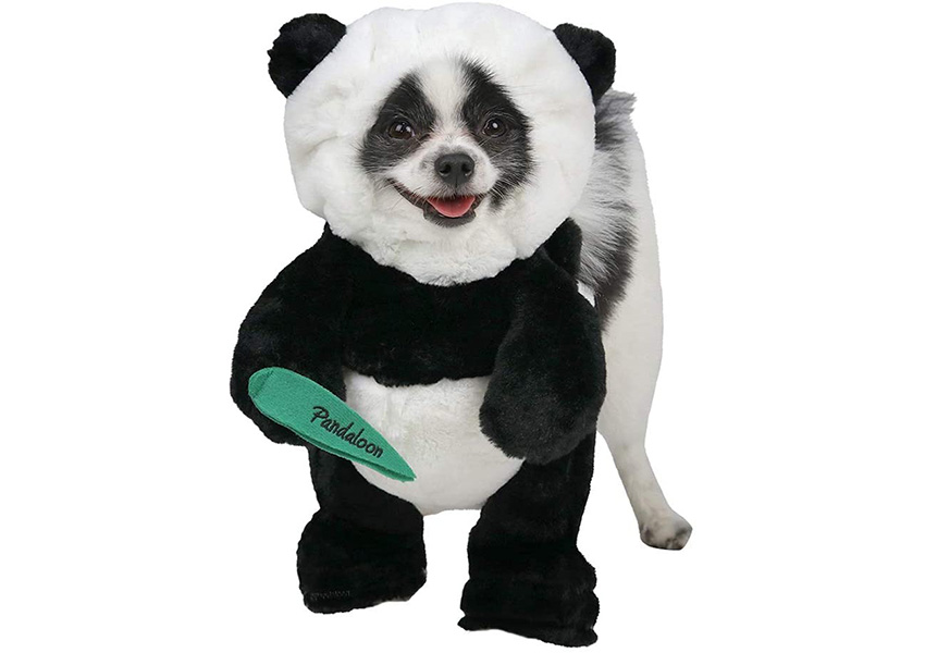 Pandaloon