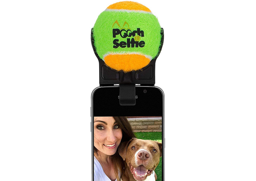 Pooch Selfie Dog Products