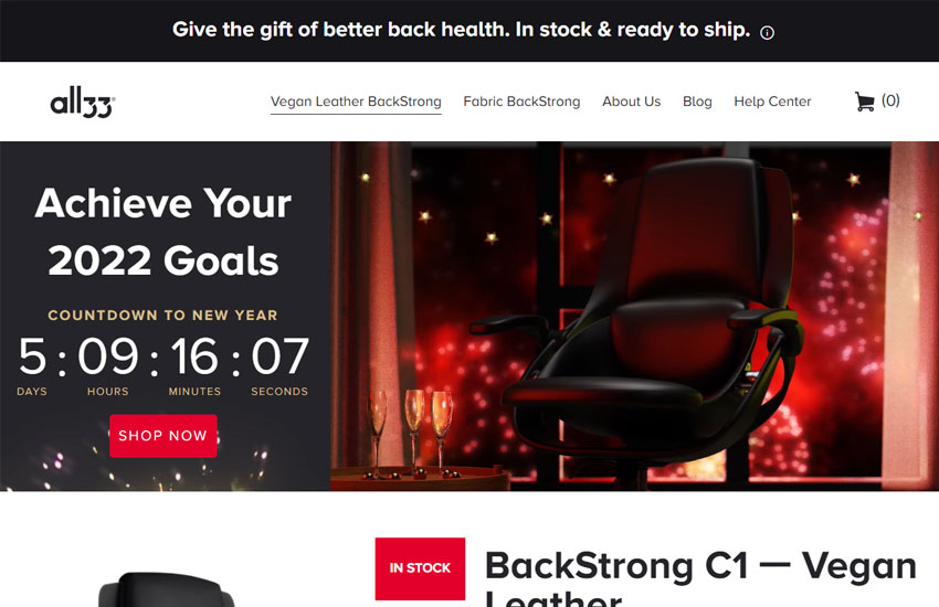 ALL33 BackStrong Ergonomic Office Chair