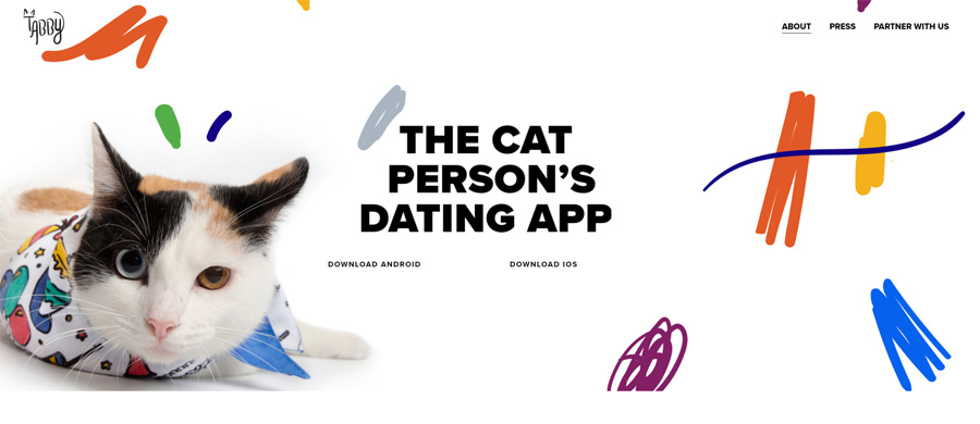 Tabby Cat Lovers Dating App